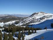 Vue sur les pistes à travers les clairières forestières
