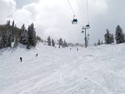 Très bonne préparation des pistes