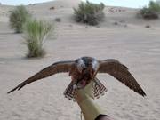 Bon plan pour les enfants : 