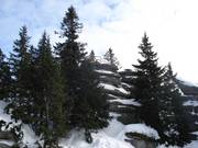 Le célèbre rocher Dreisesselfelsen se trouve à environ 1 km de la station supérieure.