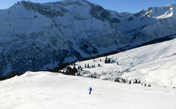 Sernftal (vallée du Sernf): Taille des domaines skiables – Taille Elm im Sernftal