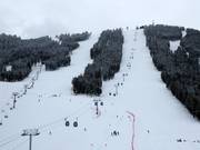 Vue sur les pistes Cougar, Holy Land et Exhibition