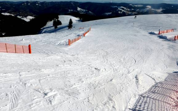 Diversité des pistes Belchen – Diversité des pistes Belchen