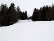 Piste de vallée de difficulté moyenne n° 4