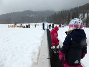 Tapis roulant et téléski à corde desservent des pistes très plates dans le Hirschzwergland