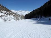 Piste facile de descente vers la vallée River Run