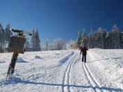 Piste de liaison du Ettelsberg à la Hochheideloipe