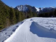 Piste à vagues au téléski Dreitannenlift