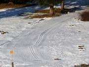 La piste de ski de fond commence juste à côté de la piste de ski.