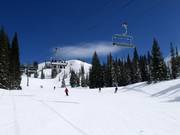 Piste facile au télésiège Sunnyside