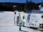 Faon - Tapis roulant