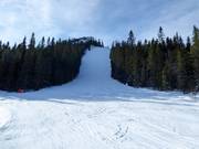 Itinéraire difficile à bosses Vargtjutet (itinéraire de ski)