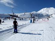 Alpine Meadow Platter - Téléski