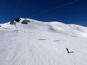 Descente Coupe du monde