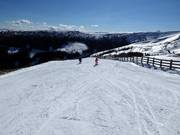 Piste facile Paulipiste