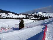 Parcours Freeridecross