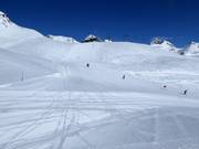 Excellente préparation des pistes