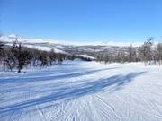 Piste facile à Ramundberget