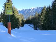 Piste noire vers Bischofswiesen (pas de connexion avec la remontée mécanique)