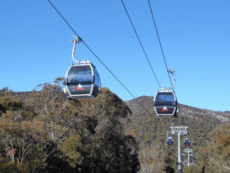 Cordillère australienne (Great Dividing Range): meilleures remontées mécaniques – Remontées mécaniques  Thredbo