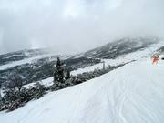 Vue sur la zone freeride Chopok Sud