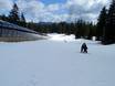 Stations de ski familiales Chaîne côtière – Familles et enfants Mount Seymour