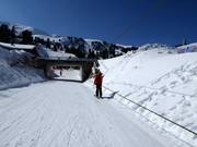 Maulwurf - Télécorde/remonte-pente à câbles bas