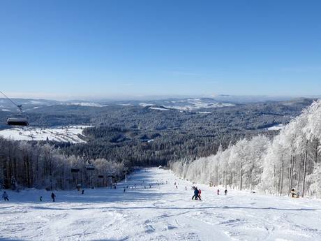 Freyung-Grafenau: Taille des domaines skiables – Taille Mitterdorf – Almberg