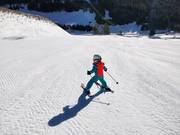 Piste parfaitement préparée