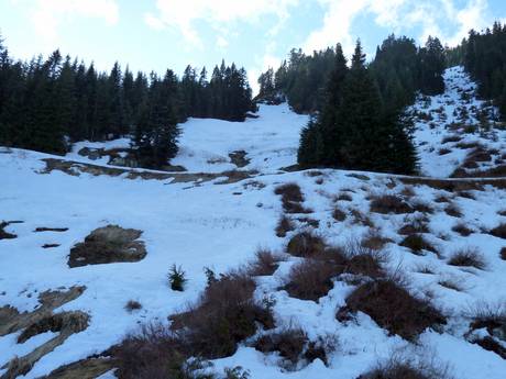 Domaines skiables pour skieurs confirmés et freeriders Monts North Shore – Skieurs confirmés, freeriders Grouse Mountain