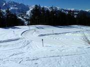 Pistes de ski de fond à Méribel Village