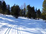 Piste de ski de fond d'altitude à la station supérieure de la télécabine 10 places