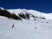 Pistes au télésiège du sommet Speiereck