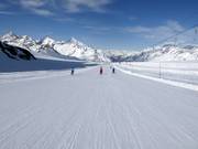 Piste de glacier facile Gandegg