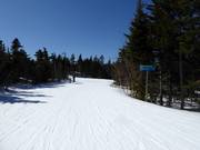 Depuis le Barker Mountain, une piste facile d'environ 5 km (3 miles) démarre.
