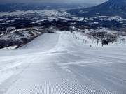 Piste difficile Dynamic (Grand Hirafu)