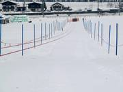 Übungslift Eichenhof II - Télécorde/remonte-pente à câbles bas