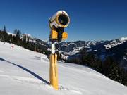 Enneigement performant