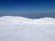 Piste Laleto lesna 3