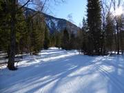 Piste de ski de fond à Bayrischzell