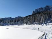 Piste de ski de fond FIS-Seeloipe