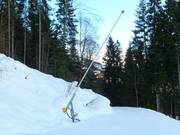 Enneigement complet dans le domaine skiable