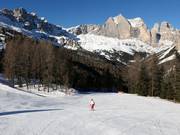 Piste facile Ciampedie - Pian Pecei