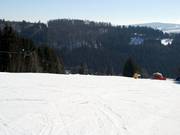 La piste la plus populaire : Obere Postwiese