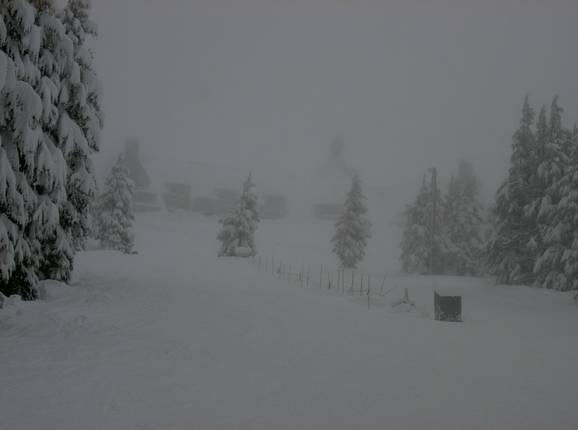 Piste dans le domaine skiable Timberline