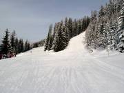 Piste sportive et familiale