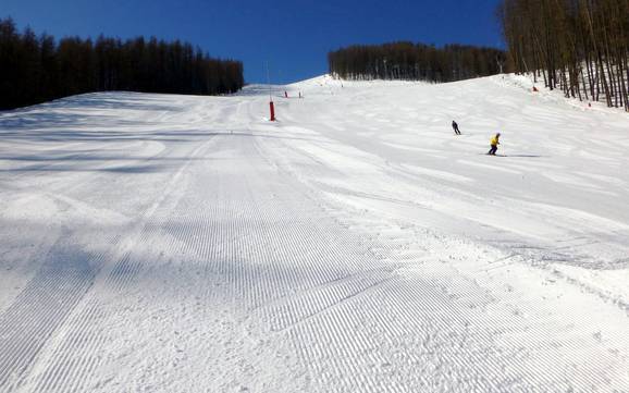 Diversité des pistes Vallée de la Tinée – Diversité des pistes Auron (Saint-Etienne-de-Tinée)