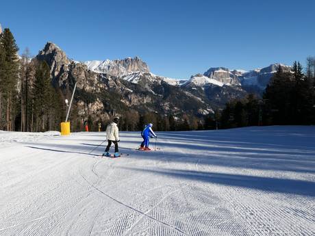 Domaines skiables pour les débutants à Dolomiti Superski – Débutants Catinaccio/Ciampedie – Vigo di Fassa/Pera di Fassa