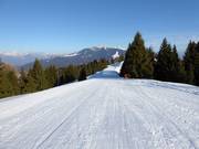 Piste Panoramica n° 9