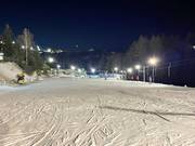 Ski nocturne